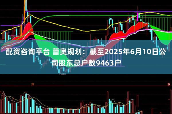 配资咨询平台 蕾奥规划：截至2025年6月10日公司股东总户数9463户