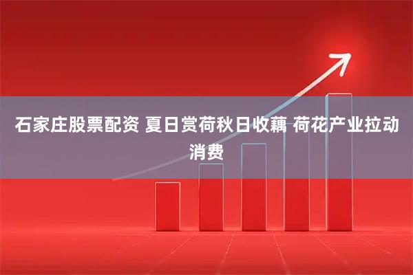 石家庄股票配资 夏日赏荷秋日收藕 荷花产业拉动消费