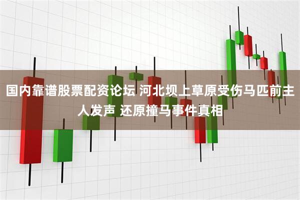 国内靠谱股票配资论坛 河北坝上草原受伤马匹前主人发声 还原撞马事件真相
